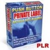Thumbnail Push  Button  PLR  Article  Site  Builder