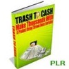 Thumbnail Trash To Cash PLR Thumbnail Trash To Cash PLR